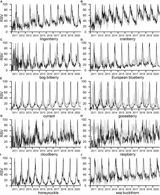 Seasonality in Human Interest in Berry Plants Detection by Google Trends